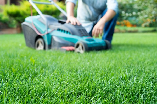 Comment assurer la longévité de votre tondeuse Briggs et Stratton grâce à un entretien moteur efficace ?