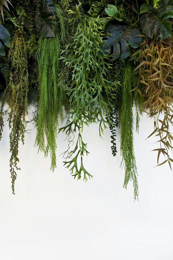 L'éclat naturel à travers les toits verts végétalisés